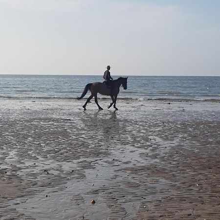 Les Gites Equestre De Ninon Moult Eksteriør billede