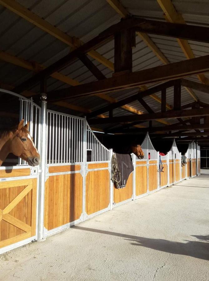 Les Gites Equestre De Ninon Moult Eksteriør billede